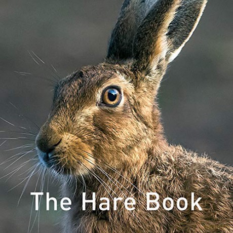 The Hare Book Nature Book - The Hare Preservation Trust [KSIĄŻKA]