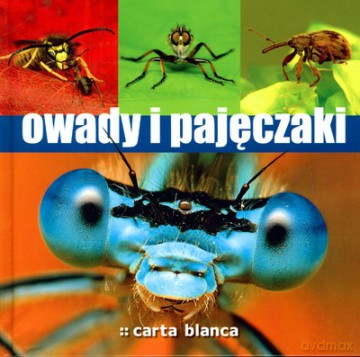 Owady I Pajęczaki (twarda) [KSIĄŻKA]