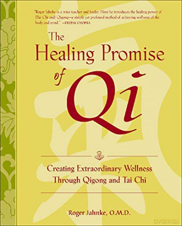 The Healing Promise of Qi: Creating Extraordinary Wellness Through Qigong and Tai Chi ALL OTHER HEALTH - Roger Jahnke [KSIĄŻKA]