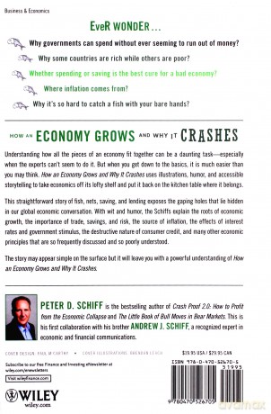 How an Economy Grows and Why It Crashes [KSIĄŻKA]