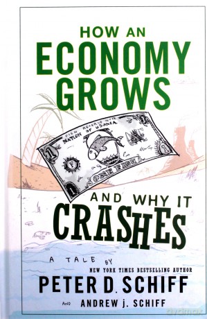 How an Economy Grows and Why It Crashes [KSIĄŻKA]