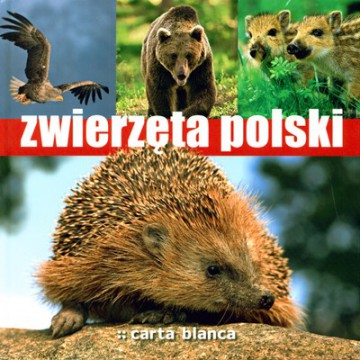 Zwierzęta Polski (twarda) [KSIĄŻKA]