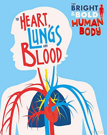 The Heart, Lungs, and Blood The Bright and Bold Human Body - Izzi Howell [KSIĄŻKA]