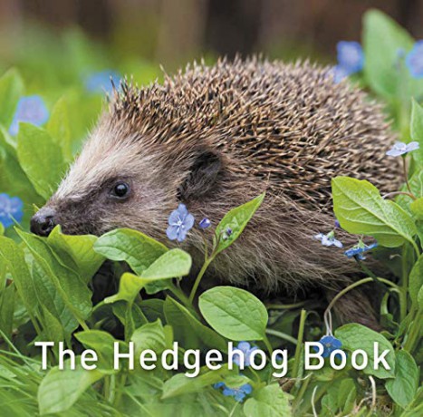 The Hedgehog Book: 1 - Hugh Warwick [KSIĄŻKA]