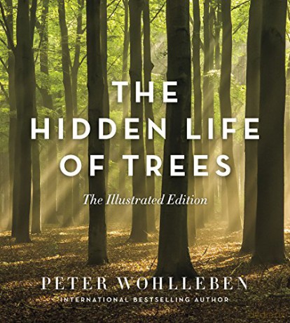 The Hidden Life of Trees: The Illustrated Edition - Peter Wohlleben [KSIĄŻKA]