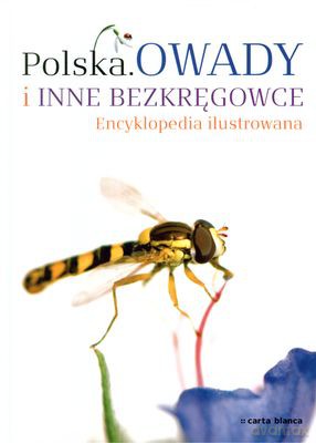 Polska Owady I Inne Bezkręgowce Encyklopedia Ilustrowana (twarda) [KSIĄŻKA]