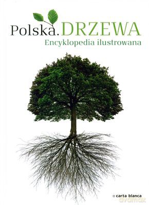 Polska Drzewa Encyklopedia Ilustrowana (twarda) [KSIĄŻKA]