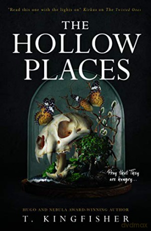 The Hollow Places - T. Kingfisher [KSIĄŻKA]