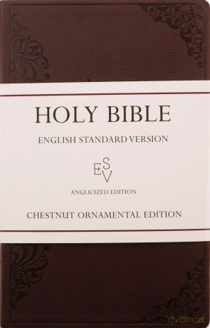 The Holy Bible - Holy Bible [KSIĄŻKA]