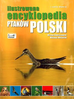 Ilustrowana Encyklopedia Ptaków Polski (twarda) - Michał Radziszewski, Mateusz Matysiak [KSIĄŻKA]
