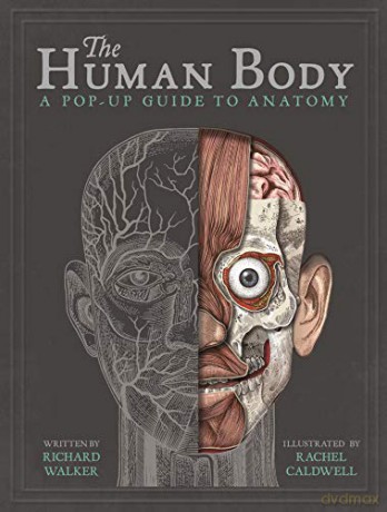 The Human Body: A Pop-Up Guide to Anatomy - Richard Walker [KSIĄŻKA]