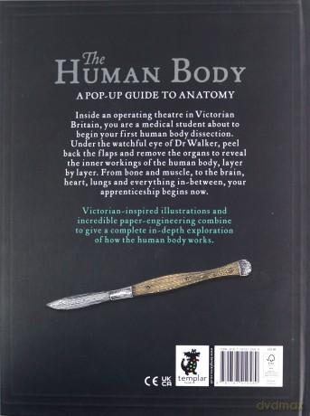 The Human Body: A Pop-Up Guide to Anatomy - Richard Walker [KSIĄŻKA]