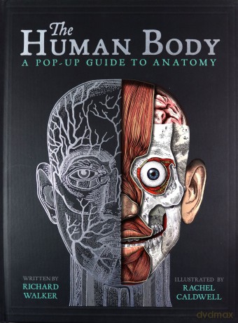 The Human Body: A Pop-Up Guide to Anatomy - Richard Walker [KSIĄŻKA]