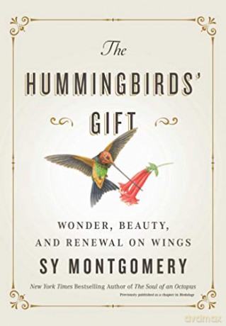 The Hummingbirds' Gift: Wonder, Beauty, and Renewal on Wings - Sy Montgomery [KSIĄŻKA]