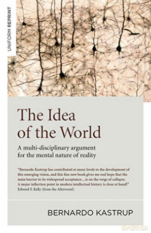 The Idea of the World: A multi-disciplinary argument for the mental nature of reality - Bernardo Kastrup [KSIĄŻKA]