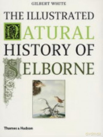 The Illustrated Natural History of Selborne - Gilbert White [KSIĄŻKA]