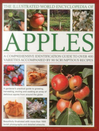 The Illustrated World Encyclopedia of Apples: A Comprehensive Identification Guide to Over 400 Varieties Accompanied by 60 Scrumptious Recipes - Andrew Mikolajski [KSIĄŻKA]