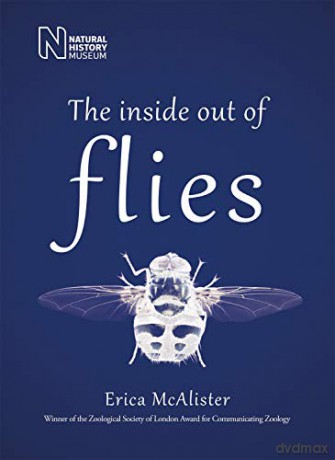 The Inside Out of Flies - Erica McAlister [KSIĄŻKA]