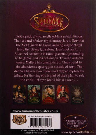 The Ironwood Tree Volume 4 SPIDERWICK CHRONICLE - Tony DiTerlizzi [KSIĄŻKA]