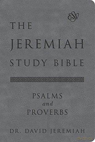 The Jeremiah Study Bible, ESV, Psalms and Proverbs Gray: What It Says. What It Means. What It Means for You. - Dr. David Jeremiah [KSIĄŻKA]