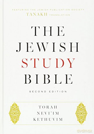 The Jewish Study Bible - Adele Berlin [KSIĄŻKA]