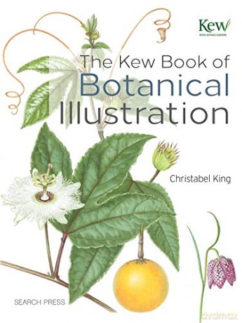 The Kew Book of Botanical Illustration - Christabel King [KSIĄŻKA]