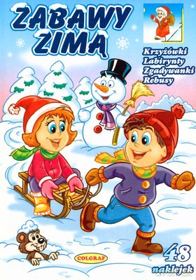 Zabawy Zimą [KSIĄŻKA]