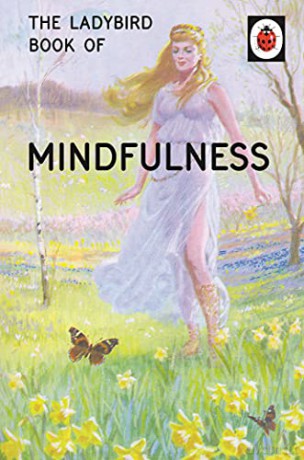 The Ladybird Book of Mindfulness: Ladybirds for Grown-Ups - Jason Hazeley [KSIĄŻKA]