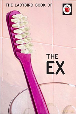 The Ladybird Book of the Ex: Ladybird For Grown-Ups Ladybirds for Grown-Ups - Jason Hazeley [KSIĄŻKA]