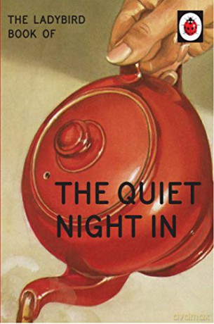 The Ladybird Book of The Quiet Night In: Ladybird For Grown-Ups Ladybirds for Grown-Ups - Jason Hazeley [KSIĄŻKA]