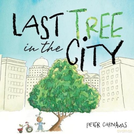 The Last tree in the City - Peter Carnavas [KSIĄŻKA]