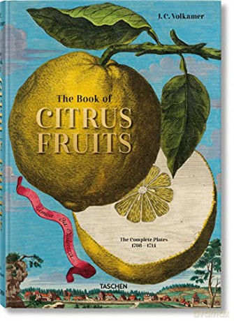 Volkamer Citrus Fruitsprice Tbc - Iris Lauterbach [KSIĄŻKA]