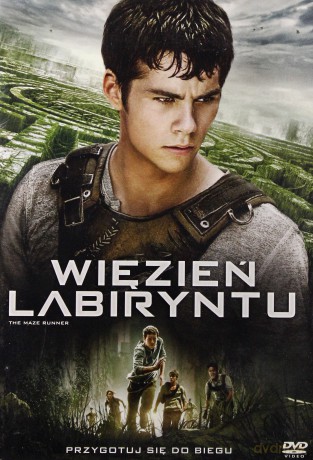 Więzień labiryntu [DVD]