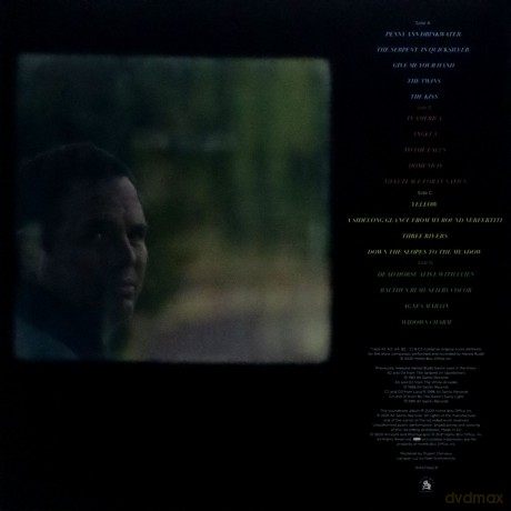 Harold Budd: I Know This Much Is True [Winyl]