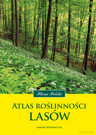Atlas roślinności lasów - Leokadia Witkowska-Żuk [KSIĄŻKA]
