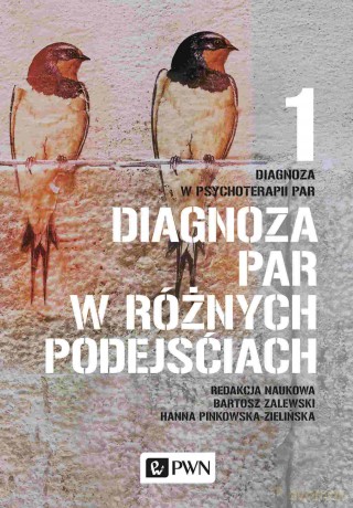 Diagnoza par w różnych podejściach - Hanna Pinkowska-Zielińska, Bartosz Zalewski [KSIĄŻKA]