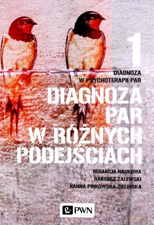 Diagnoza par w różnych podejściach - Hanna Pinkowska-Zielińska, Bartosz Zalewski [KSIĄŻKA]
