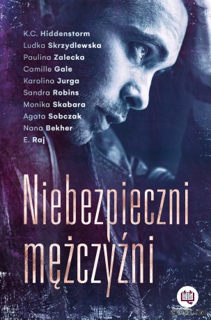Niebezpieczni mężczyźni - Karina Hiddenstorm, Paulina Zalecka, Camille Gale [KSIĄŻKA]