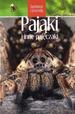 Pająki i inne pajęczaki. Spotkania z przyrodą - Heiko Bellmann [KSIĄŻKA]