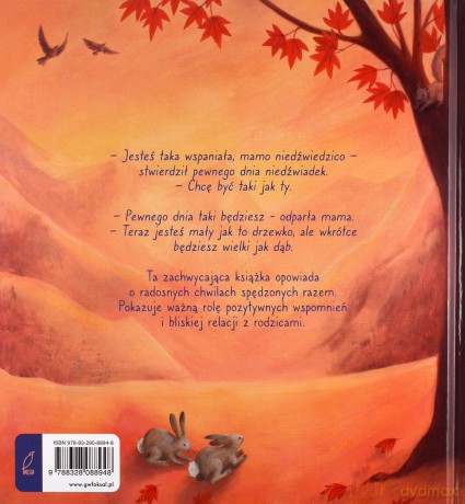 Pewnego dnia, niedźwiadku - Stephanie Stansbie [KSIĄŻKA]