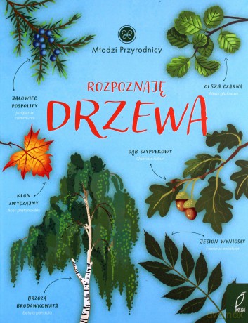 Rozpoznaję drzewa. Młodzi przyrodnicy - Patrycja Zarawska [KSIĄŻKA]