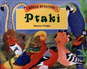 Ptaki Głosy Przyrody (twarda) - Maurice Pledger [KSIĄŻKA]