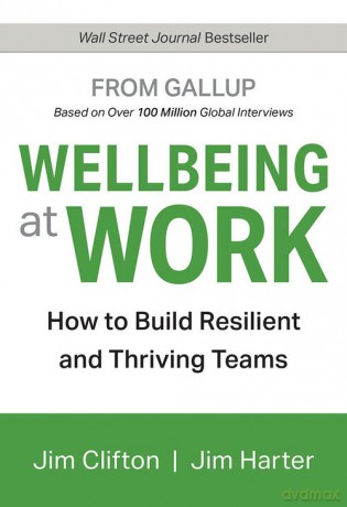 Wellbeing at Work - Jim Clifton, Jim Harter [KSIĄŻKA]