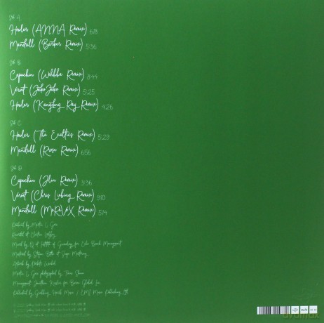 Martin Gore: The Third Chimpanzee Remixed [2xWinyl]