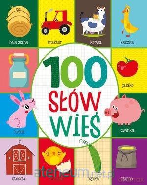 100 słów. Wieś [KSIĄŻKA]