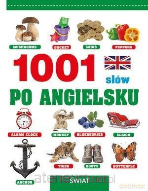 1001 słów po angielsku. Świat - Laura Aceti [KSIĄŻKA]