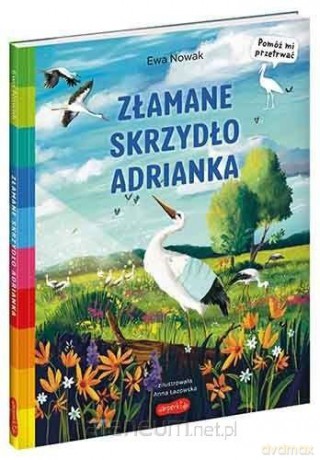 Akademia mądrego dziecka. Złamane skrzydło - Anna Łazowska [KSIĄŻKA]