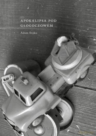 Apokalipsa pod Głogoczowem - Adam Sroka [KSIĄŻKA]