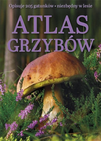 Atlas grzybów [KSIĄŻKA]