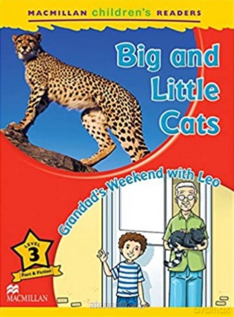 Children's: Big and Little Cats 3 Grandad's - Coleen Degnan-Veness [KSIĄŻKA]